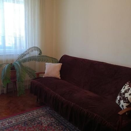Sara Apartman Târgu-Mureş エクステリア 写真