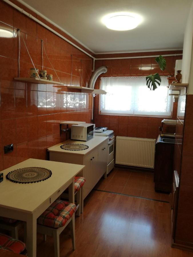 Sara Apartman Târgu-Mureş エクステリア 写真