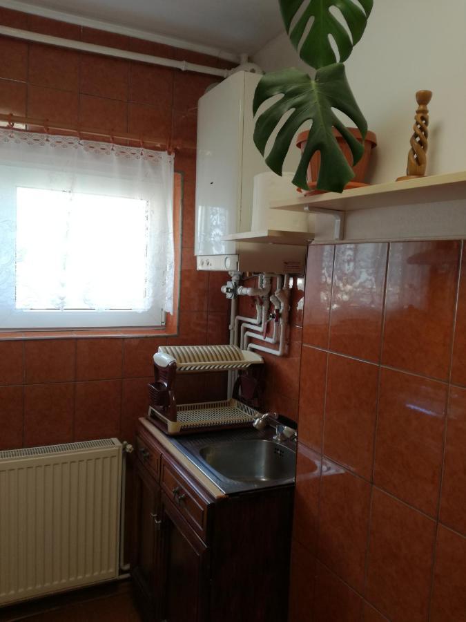 Sara Apartman Târgu-Mureş エクステリア 写真