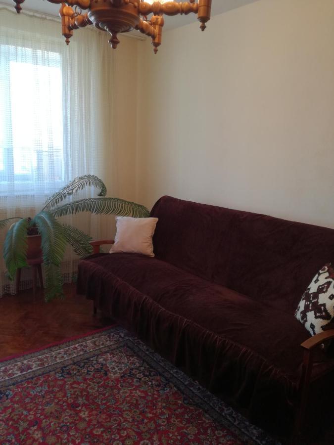Sara Apartman Târgu-Mureş エクステリア 写真