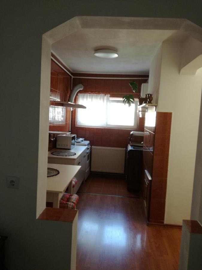 Sara Apartman Târgu-Mureş エクステリア 写真