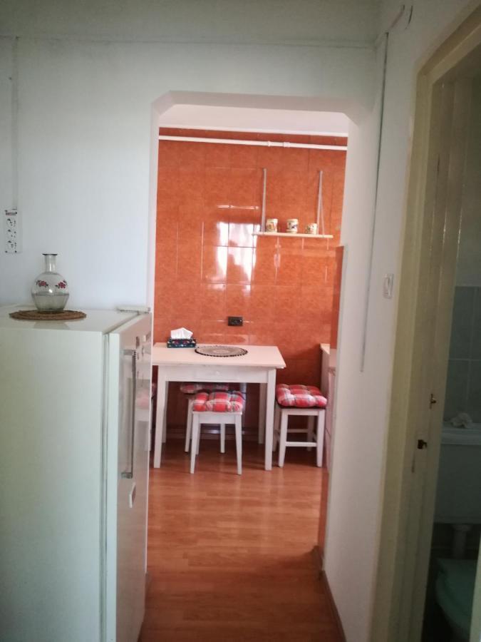 Sara Apartman Târgu-Mureş エクステリア 写真